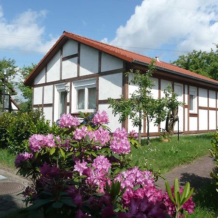 Bachenbrock Ferienhaus Kogge Im Feriendorf Alt מראה חיצוני תמונה