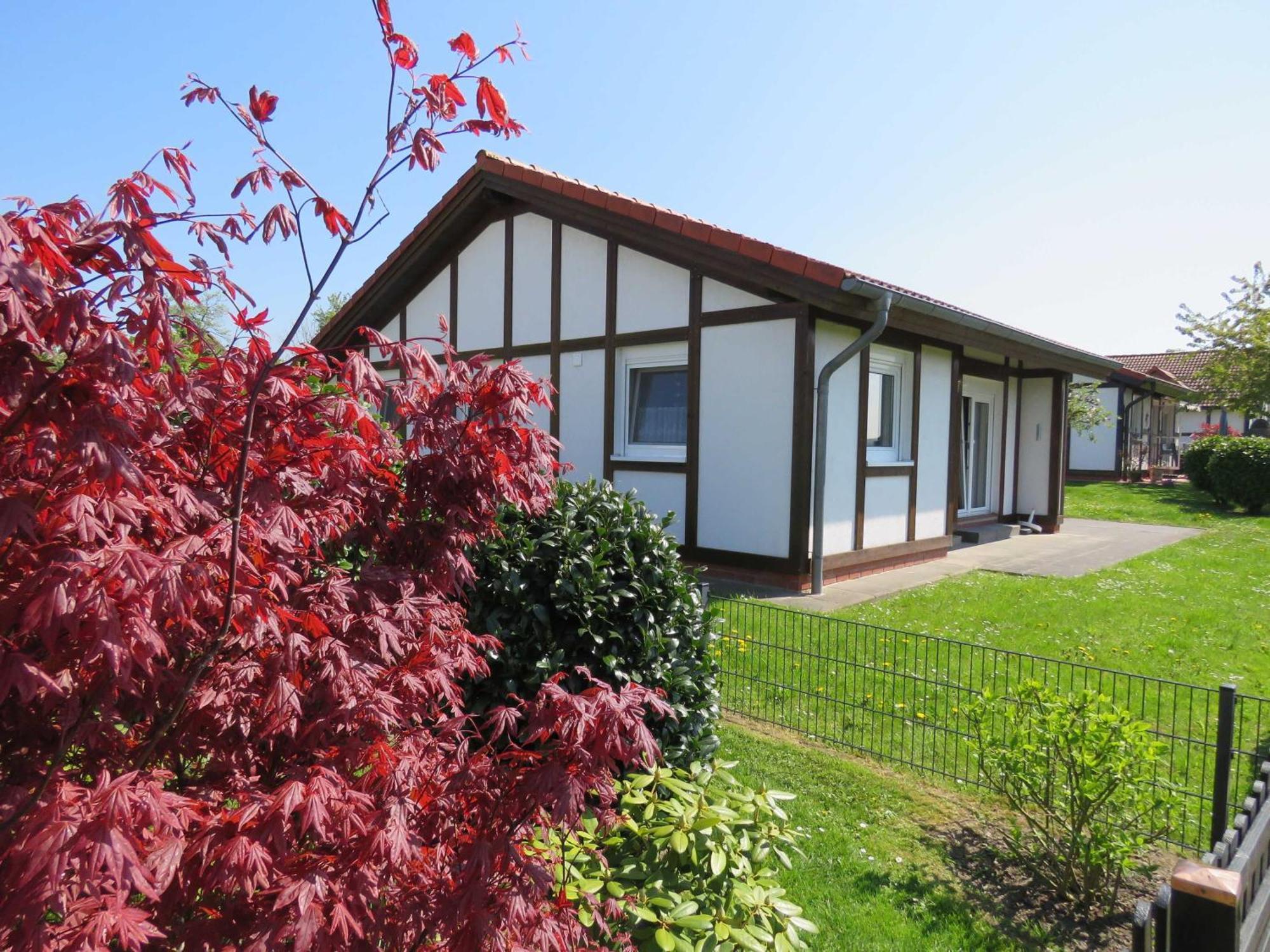 Bachenbrock Ferienhaus Kogge Im Feriendorf Alt מראה חיצוני תמונה